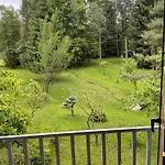 Gino's House